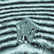 The Shadow of a Snakepit