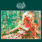 Todos Os Povos Enforcam Seus Oráculos