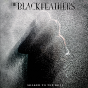 The Black Feathers: Soaked to the Bone