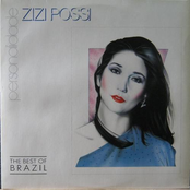 Como Uma Onda by Zizi Possi