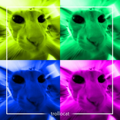 trollocat