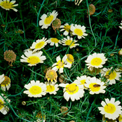 THE END OF THE WHOLE FKN WORLD