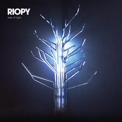 Riopy: Tree of Light