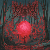 Scriptures of the Accursed