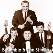 b bumble & the stingers