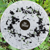no fauna