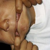 Tiré una Piedra al Aire