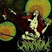 Demo 2009 ( we weren`t meant to be )