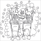 Beautiful Desolation