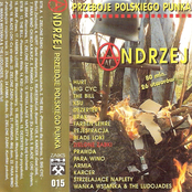 Andrzej - Przeboje Polskiego Punka