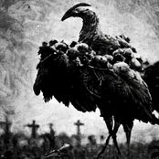 Relapse Darkness Death