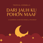 Dari Jauh Ku Pohon Maaf