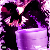 Bird Business (with Summrs)