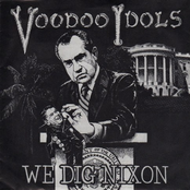 We Dig Nixon by Voodoo Idols