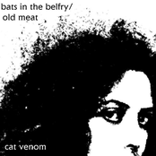 Bats In The Belfry/Old Meat
