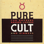 pure cult: the singles 1984-1995