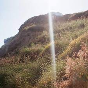 the trip we never took