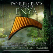 Panpipes Plays Songs Of Enya
