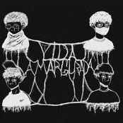 Vida Amargurada Speedplug