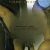 the brown bunny