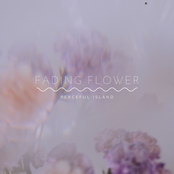Fading Flower