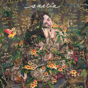 Saetia: Tendrils