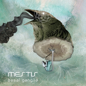 Mestis: Basal Ganglia