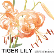 TIGER LILY
