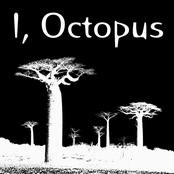 Helping Others Help Themselves