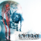 Slow Degrade: who will fix me now?