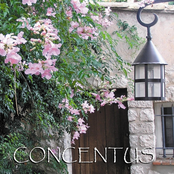 Concentus