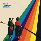 Bruno Pernadas - Private Reasons Artwork