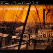 Smoke Stacks by If These Trees Could Talk