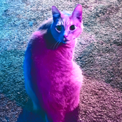 Panther-made Beats and Remixes :3