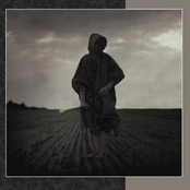 Sane Lux Seipsam et Tenebras Manifestat