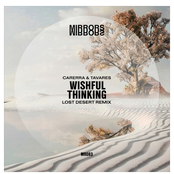 Wishful Thinking (Lost Desert Remix)