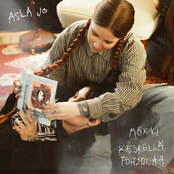 Mökki keskellä pohjolaa