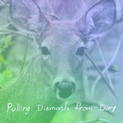 Pulling Diamonds from Dirt