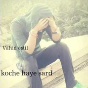 Koche Haye Sard "Track Single"