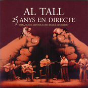 vint anys d'al tall