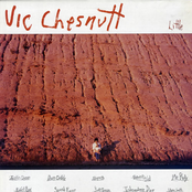 Stevie Smith by Vic Chesnutt