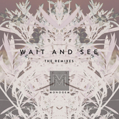 Wait and See (The Remixes)