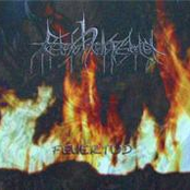 Split LP: Feuertod/Death in its nicest Forms