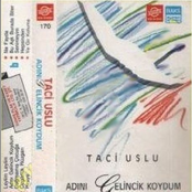 Taci Uslu