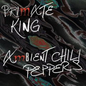 Ambient Chili Peppers (An Ambient Translation Of RHCP)