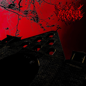 When the Christianity Ends