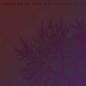 theater of the haunted eyelid