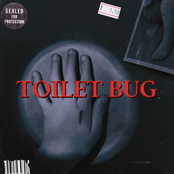 TOILET BUG
