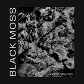 Bittersweet