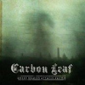 Sad And Alone by Carbon Leaf